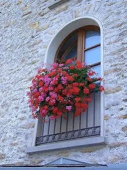 Hotel Sport Santa Caterina Valfurva